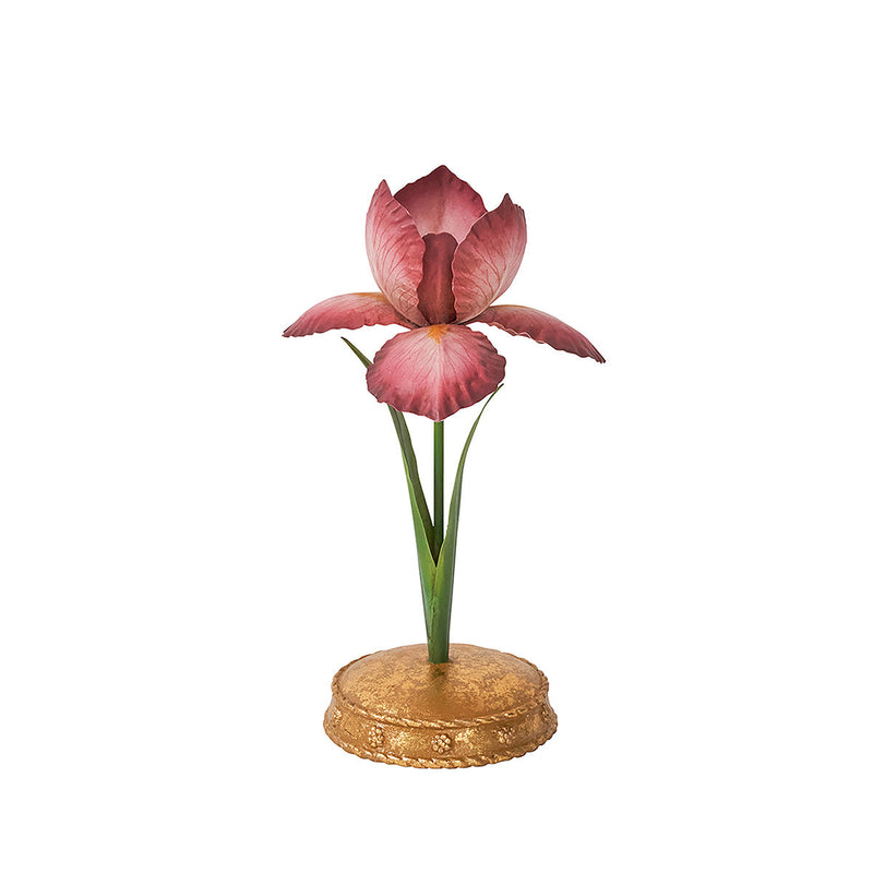 Meadow Walk Iris 9
