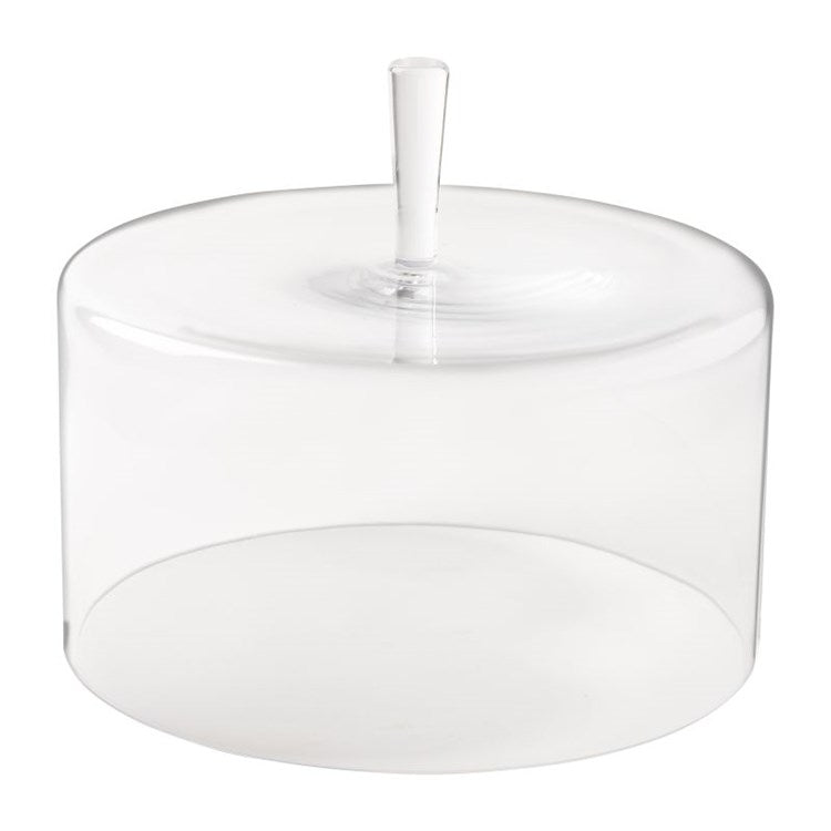 GLASS DOME 12in (H9in) (COUPOLE)