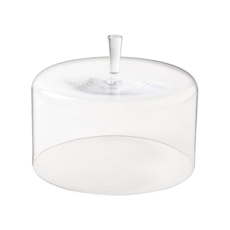GLASS DOME 10in (H7.75in) (COUPOLE)